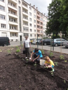 jardin-21mai - 5 (1)