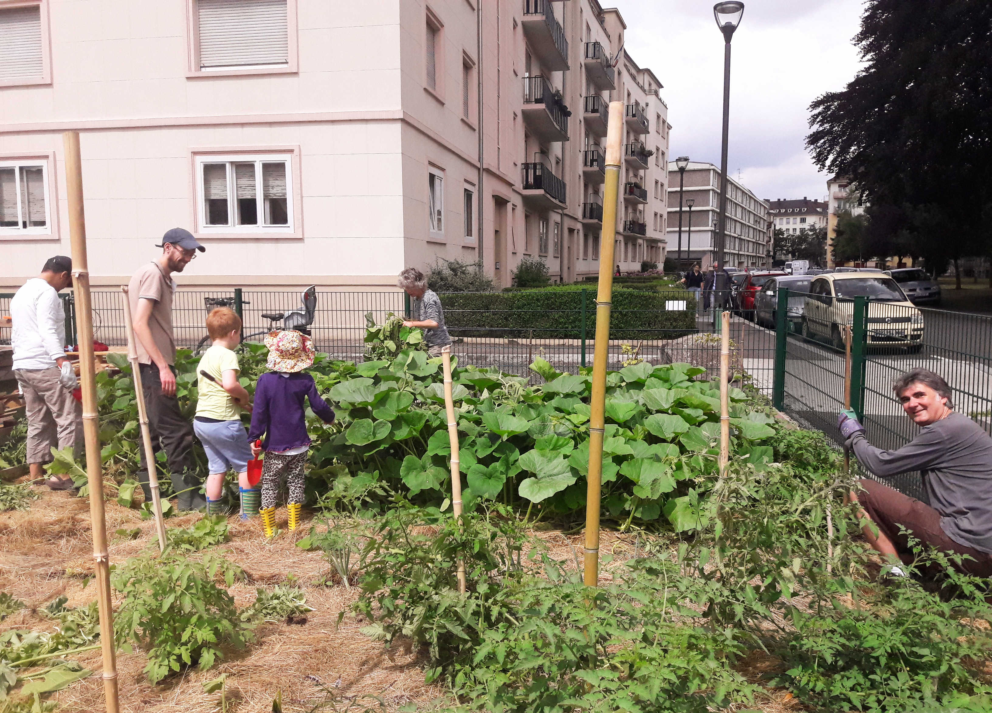jardiniersphéno