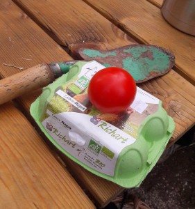 première tomate