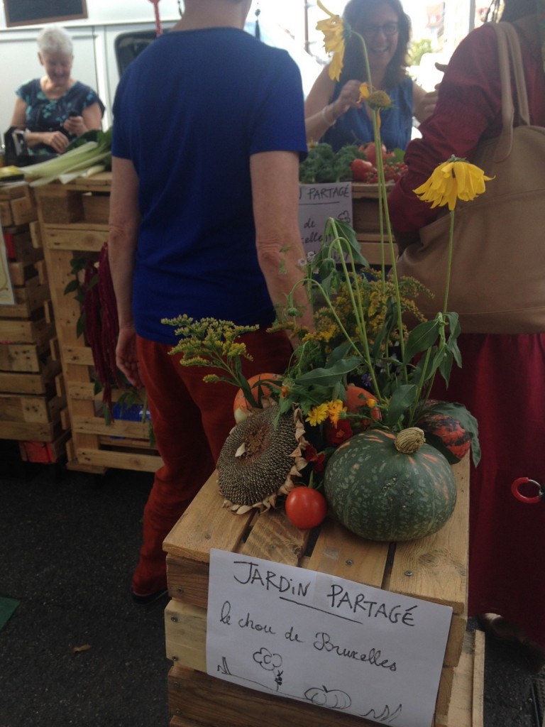 chou au marché 2