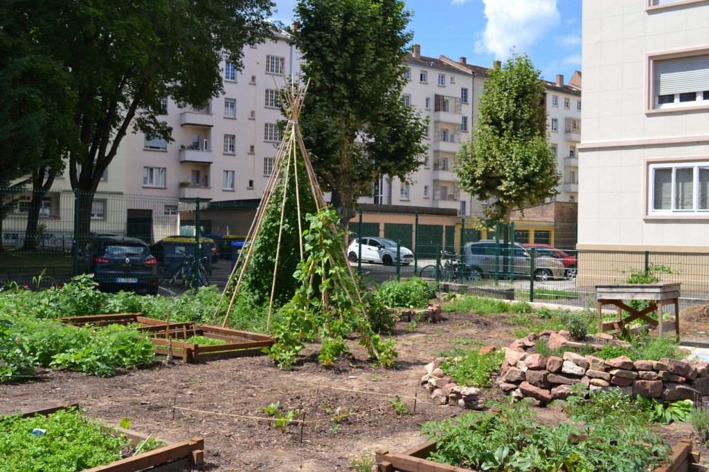 parcelle expé aout