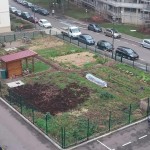 28 01 208 le jardin en coeur
