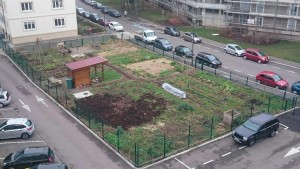28 01 208 le jardin en coeur